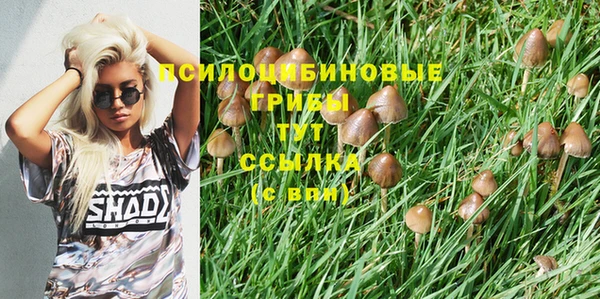 ALPHA PVP Алзамай