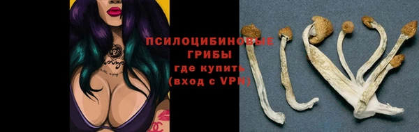 прущий лед Алексеевка