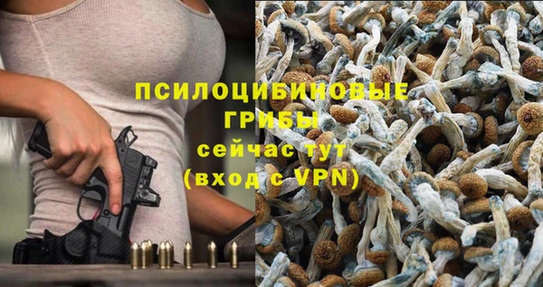 спиды Алексин