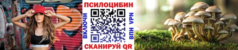 Псилоцибиновые грибы Magic Shrooms  Моздок 