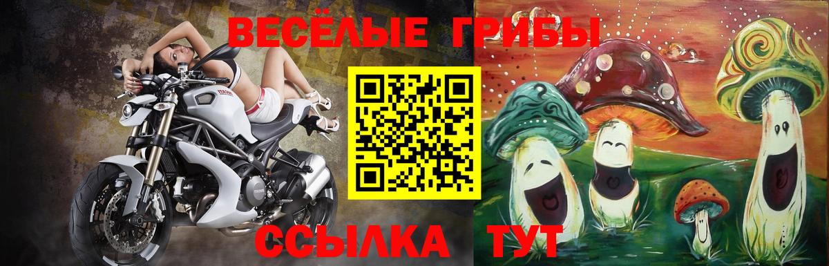 Моздок  Галлюциногенные грибы Psilocybe  закладки  Вход с VPN  Псилоцибиновые грибы Magic Shrooms 