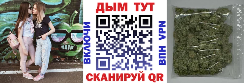 где купить   Моздок  Бошки марихуана тримм 